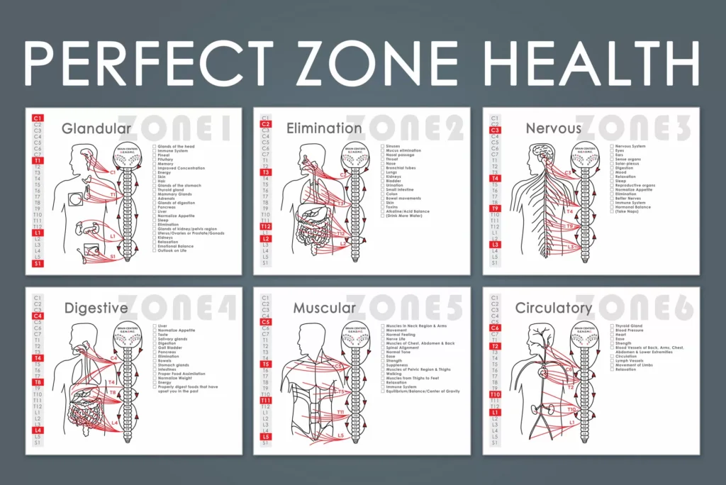perfect zone health chart